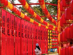 -国色天乡三期陆地乐园