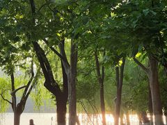 -天鹅湖体育公园