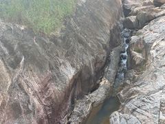 -广州白江湖森林公园