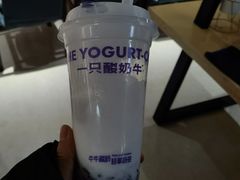 -一只酸奶牛(八一路店)