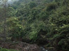 -马峦山郊野公园