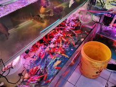 -双季花艺园艺市场(浦东店)