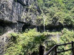 -鹿院坪生态旅游景区