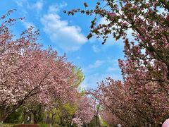 -元大都城垣遗址公园