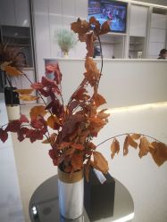 -SalonRivelin 沙龙瑞菱