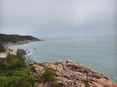 -广东惠东海龟国家级自然保护区