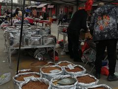 -中环花鸟鱼虫市场