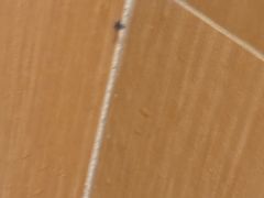 -全季酒店（上海南站徐汇万科中心店）(原冠生园路店)