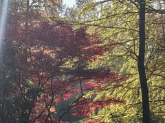 -长广溪湿地公园