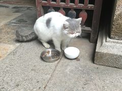 -老屋咖啡