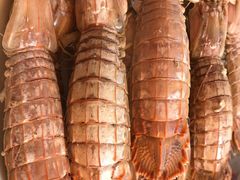 -洛阳白云山景区