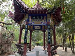 -潜山国家森林公园