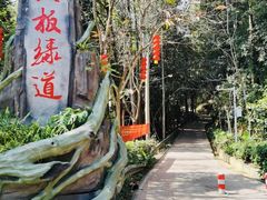 -东莞市大岭山森林公园