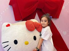-安吉Hello Kitty乐园