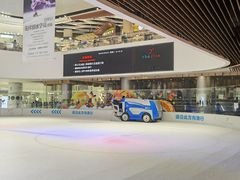 -TheRink大零溜冰场(IFS国金中心店)