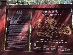 -黄帝陵