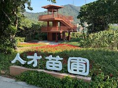 -银湖山郊野公园-相思林