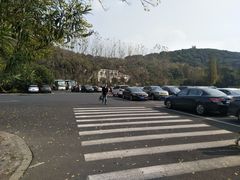 -上海佘山国家森林公园东门地面停车场