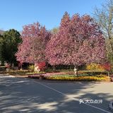 不能聚集吃饭，那就一个人爬山吧，今天真晒，不过阳光也