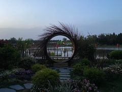 -东平国家森林公园