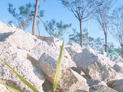 -贝林大翅鲸简餐厅(国家海洋博物馆店)