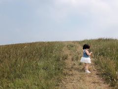 -恋山坝上草原