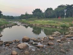 -梧桐山风景名胜区