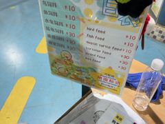 -上海大自然野生昆虫馆(东方明珠·爬宠昆虫探索中心)