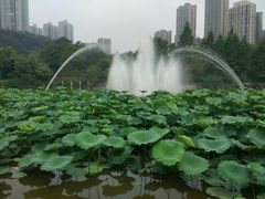 -龙头寺公园