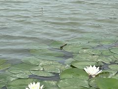 -南北湖风景区