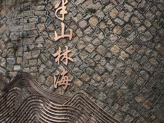 -半山林海