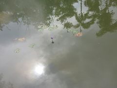 -水底山庄园温泉