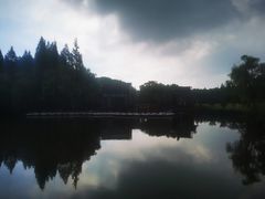 -上海滨江森林公园