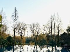 -杭州西子湖四季酒店·金沙厅