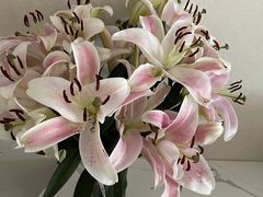 -循礼门鲜花花市(武汉循礼门店)