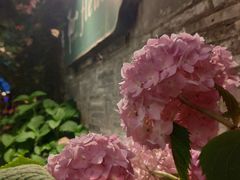 -花·fleur古董西餐厅(西城夜未央店)
