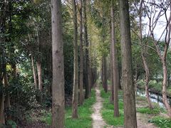 -前小桔亲子创意农场·草莓采摘·露营烧烤