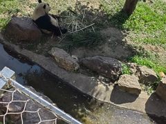 -沈阳森林动物园