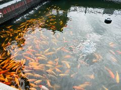 -长春市南湖公园