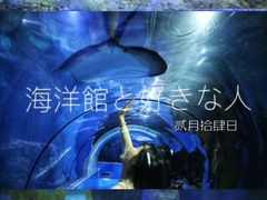 -台州海洋世界