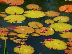 -国家植物园南园