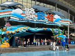 -海合安成都极地海洋公园