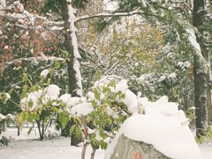 -河南省黄河迎宾馆