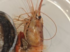 -半岛听涛蒸汽海鲜自助(K11店)