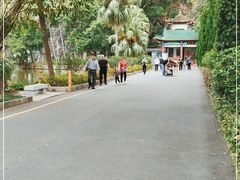 -星湖旅游景区七星岩