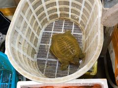 -京深海鲜市场(光彩路店)