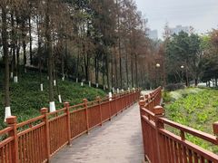 -重庆彩云湖湿地公园