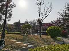 -青岛香根温泉酒店