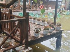 -天怡·鱼工厂(梅溪湖店)