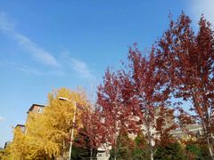 -辽宁大学(崇山校区)